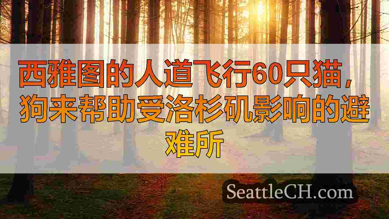西雅图新闻 SeattleCH