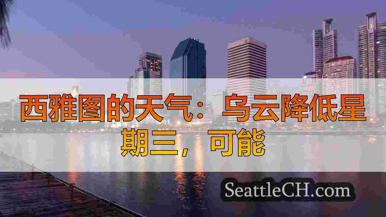 西雅图新闻 SeattleCH