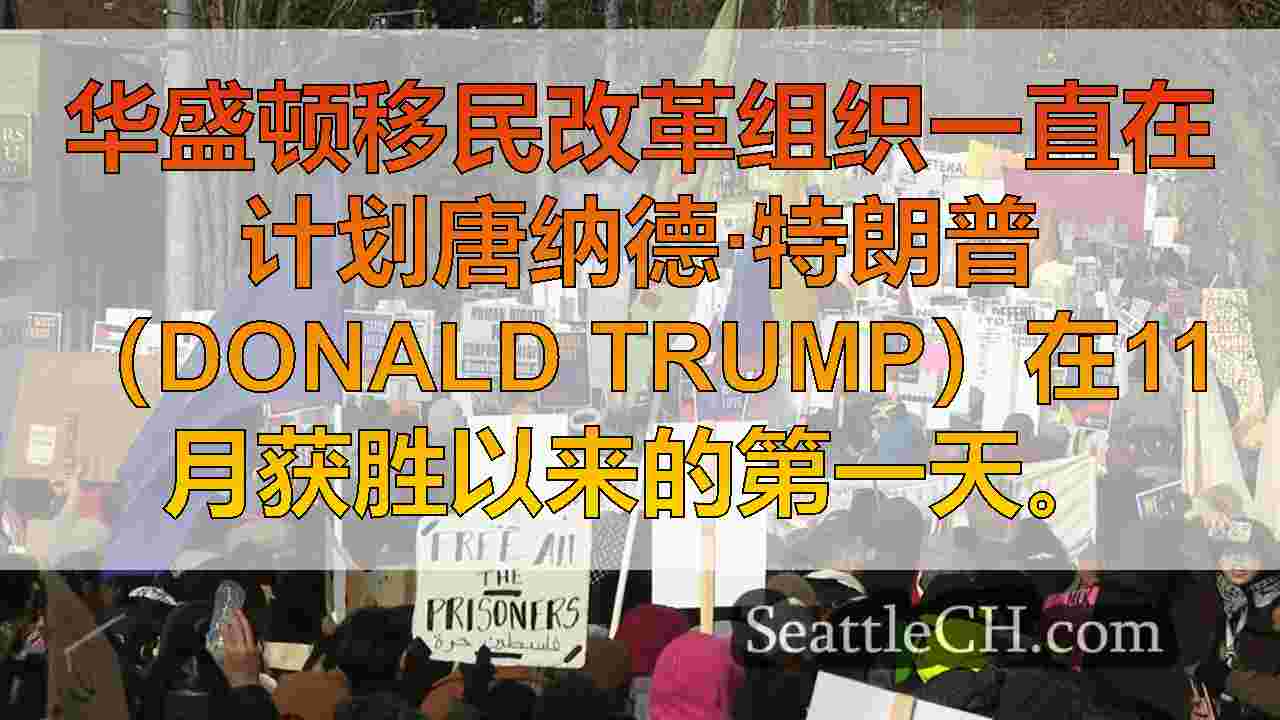 西雅图团体集会反对特朗普上任的“回归”移民政策