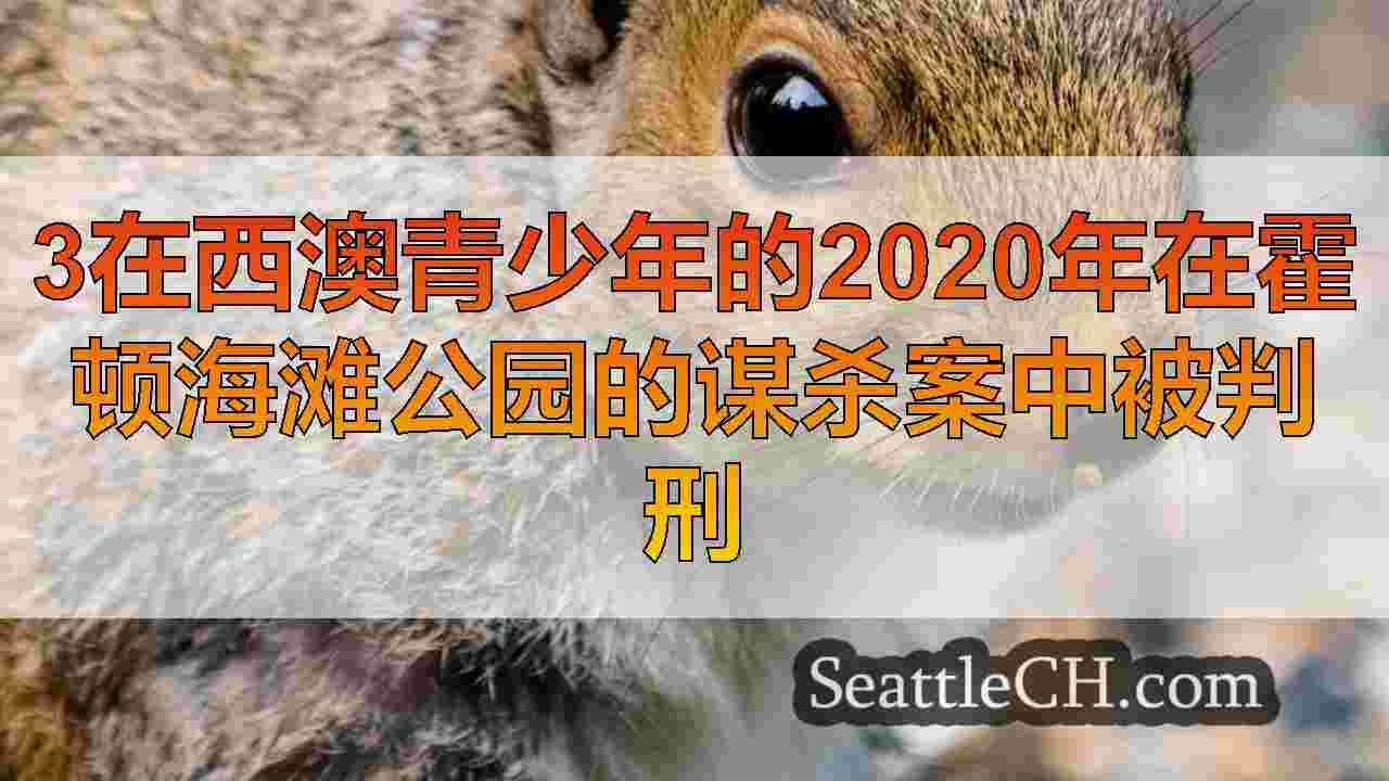 西雅图新闻 SeattleCH