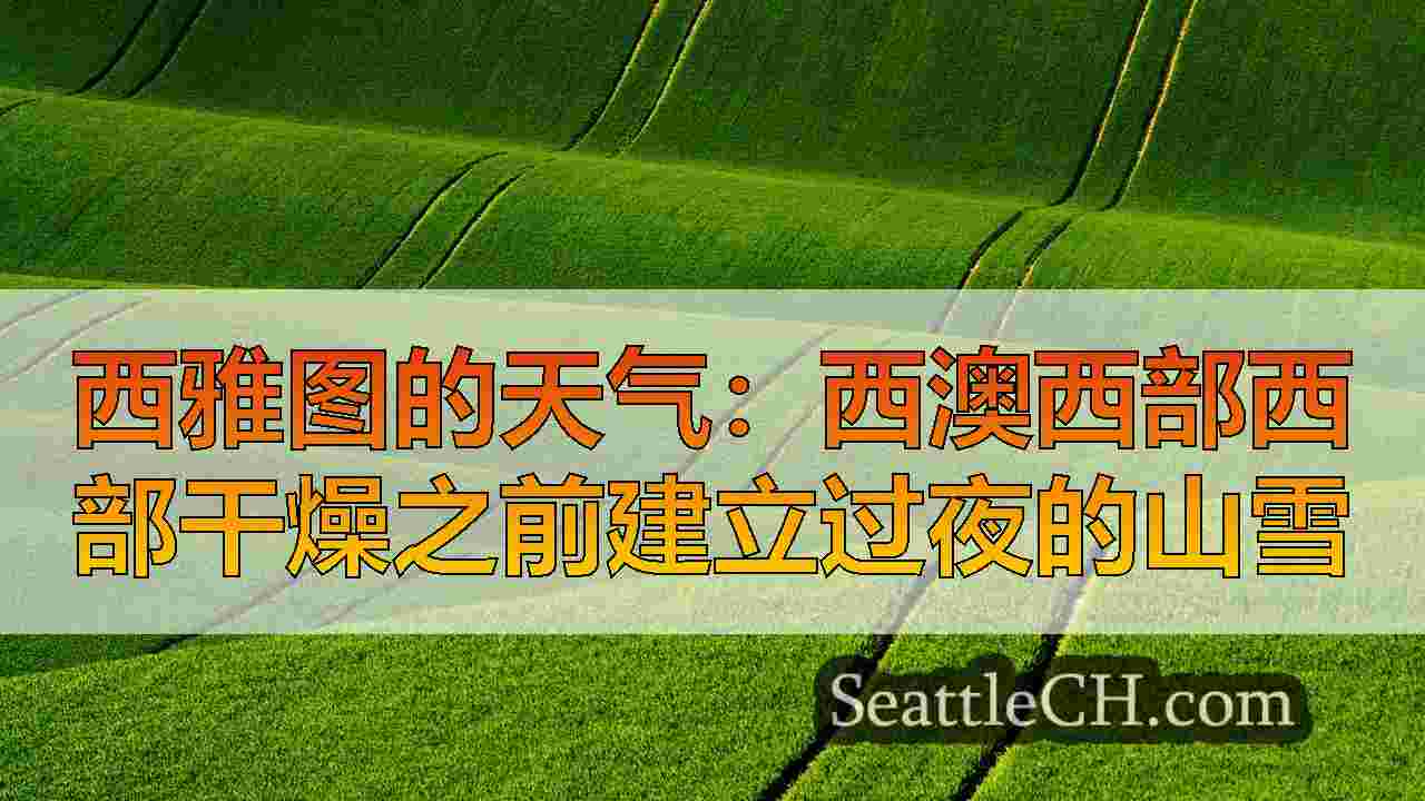 西雅图新闻 SeattleCH