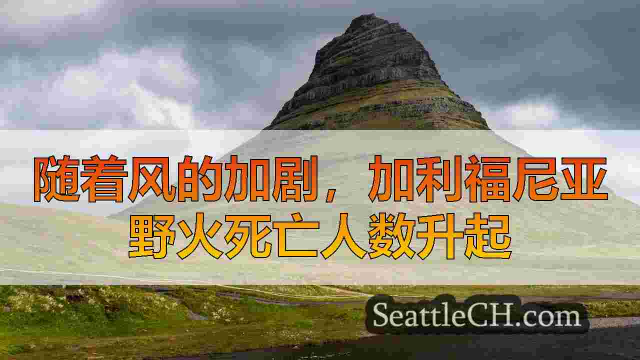 西雅图新闻 SeattleCH