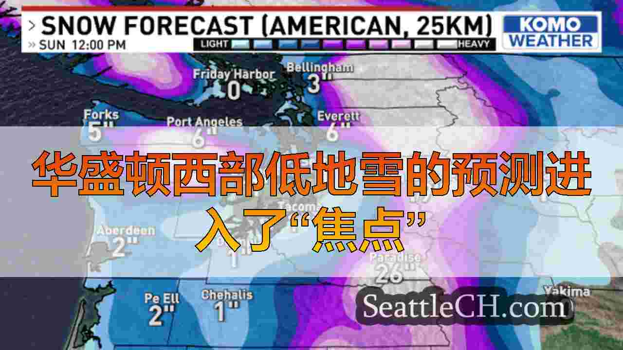 西雅图新闻 SeattleCH