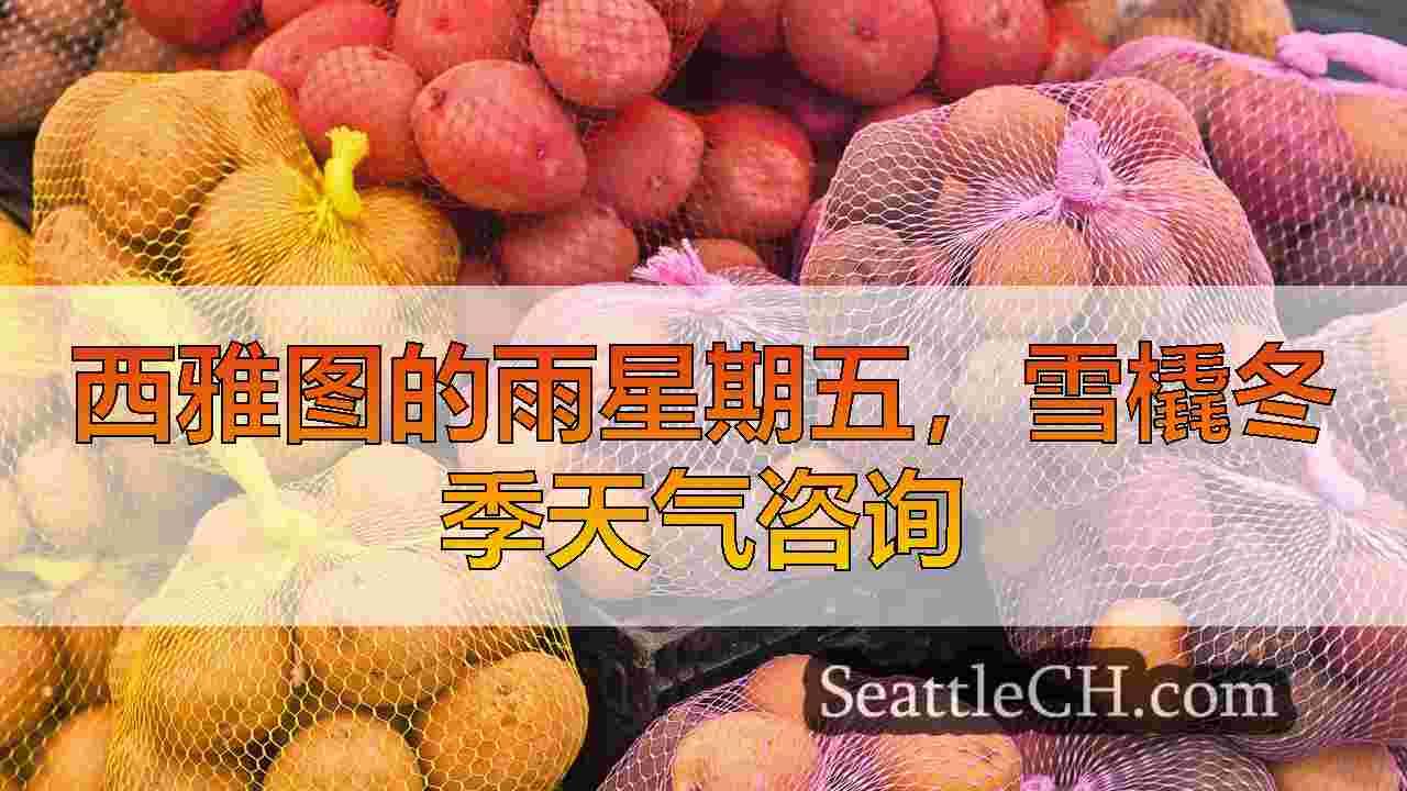 一两阵雨