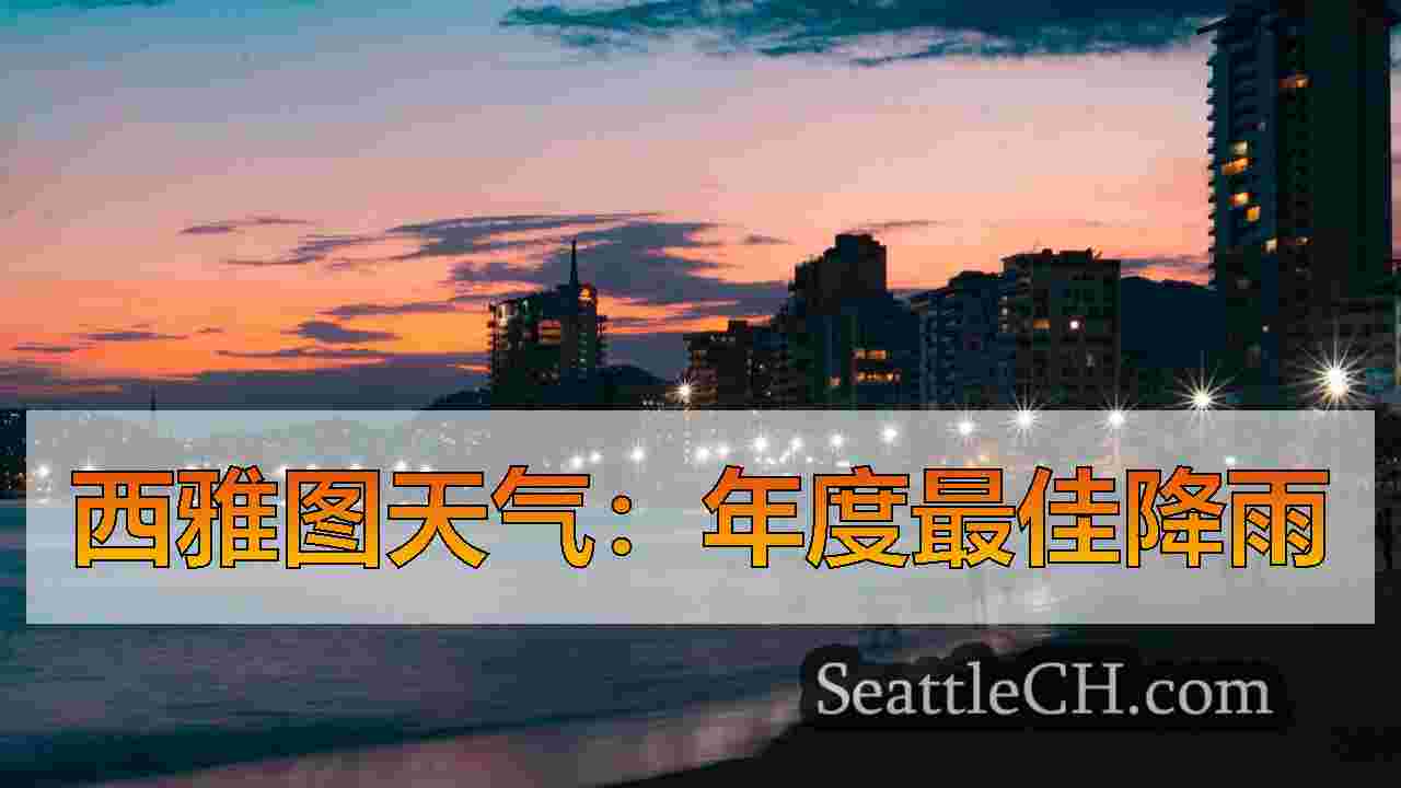 西雅图新闻 SeattleCH