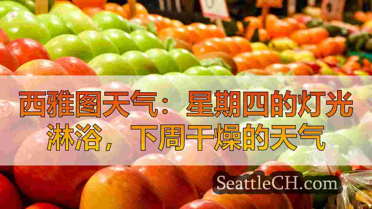 西雅图天气：干燥，大部分是阳光明媚的MLK周末