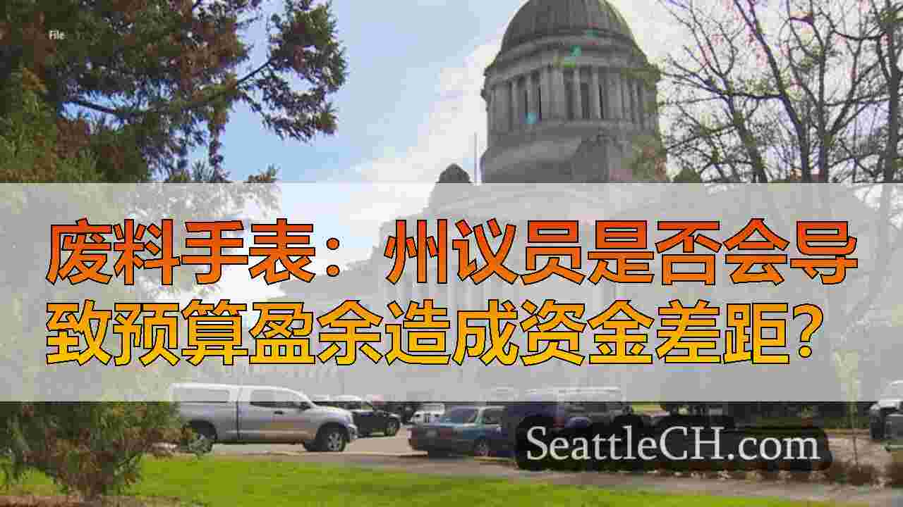 西雅图新闻 SeattleCH