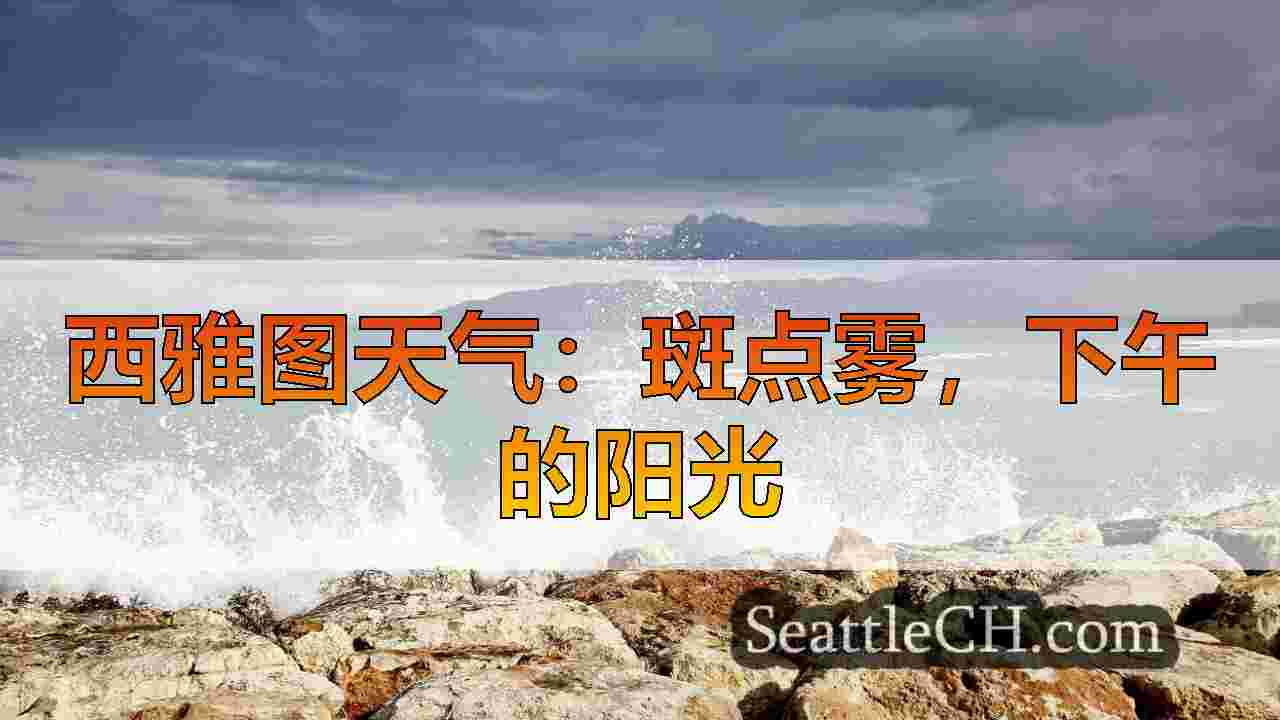 1月中旬，西雅图的长期干燥天气预报