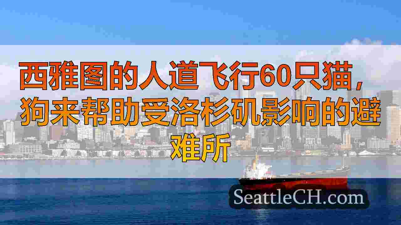 西雅图人道飞行60只猫，狗，帮助避难所受到洛杉矶野火的影响