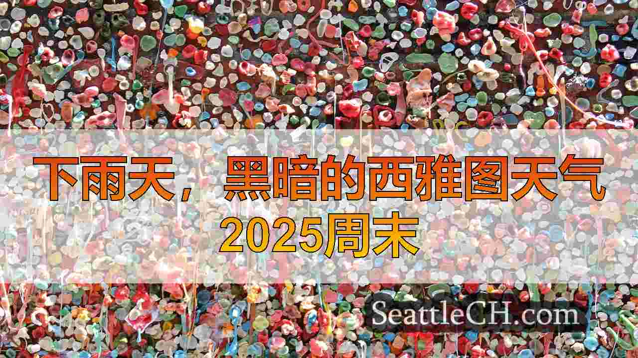 2025年第一个周末，西雅图的多雨，灰色天气
