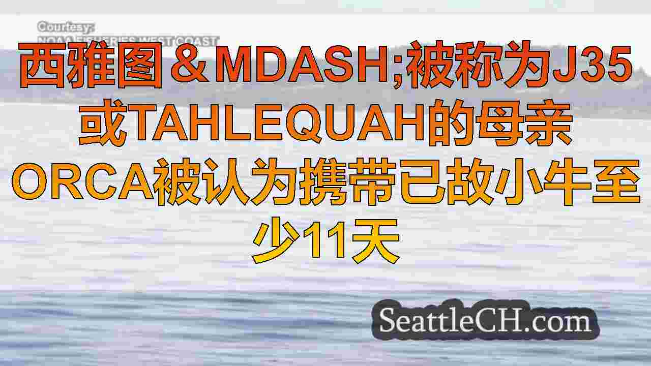 西雅图新闻 SeattleCH