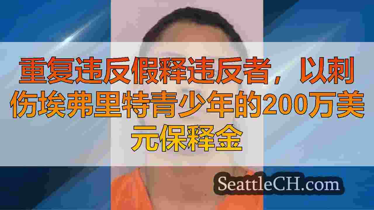 重复违反假释违反者，以刺伤埃弗里特青少年的200万美元保释金