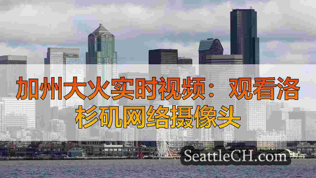 加州大火实时视频：观看洛杉矶网络摄像头