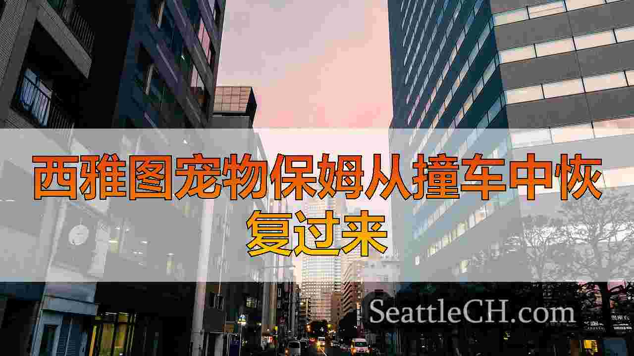 西雅图新闻 SeattleCH