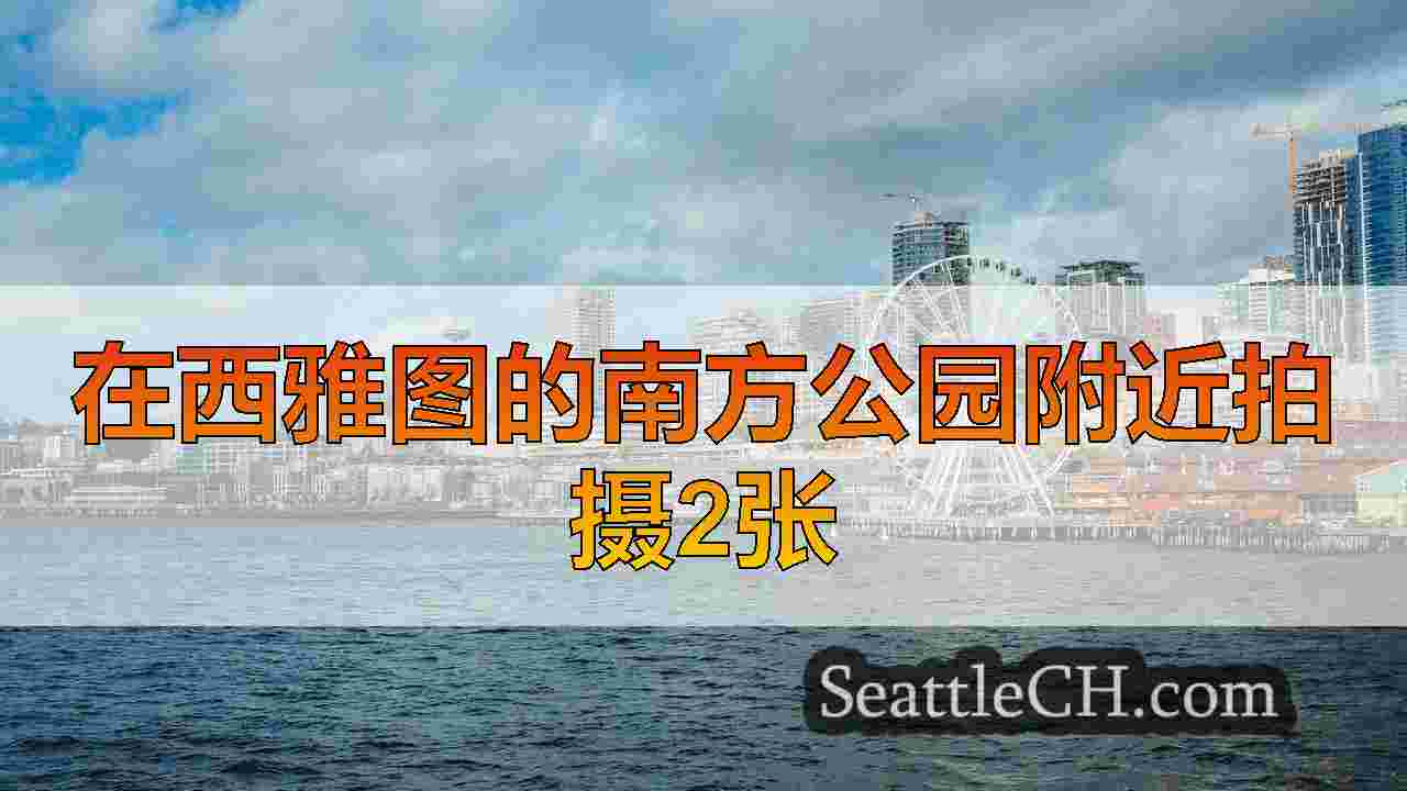 西雅图新闻 SeattleCH