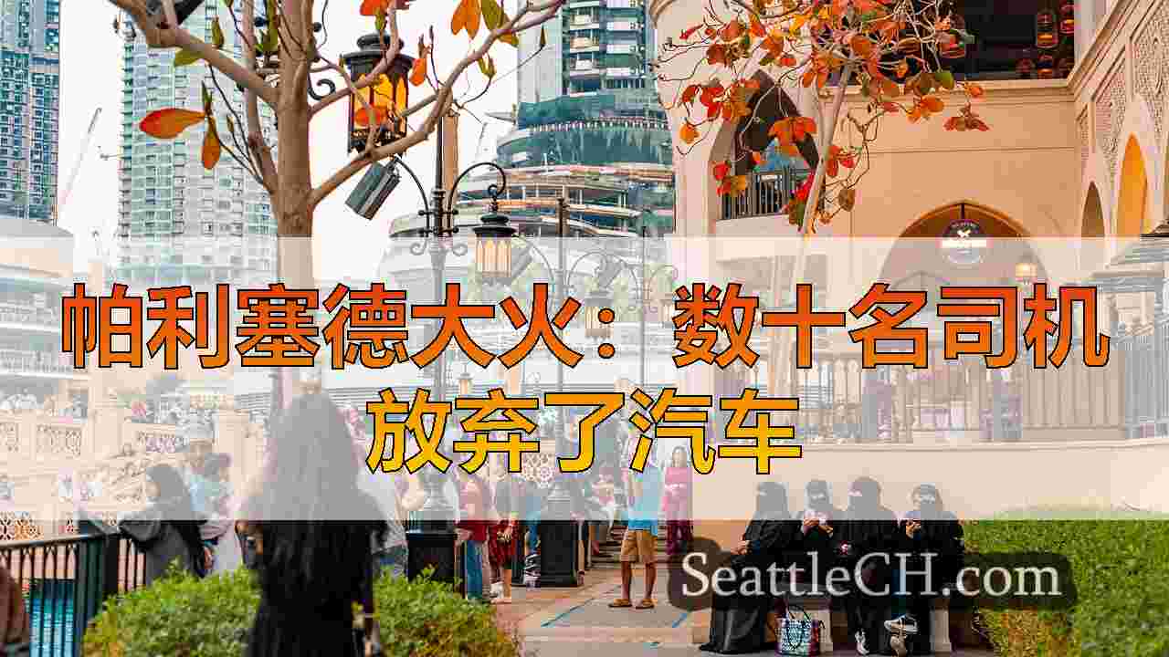 西雅图新闻 SeattleCH