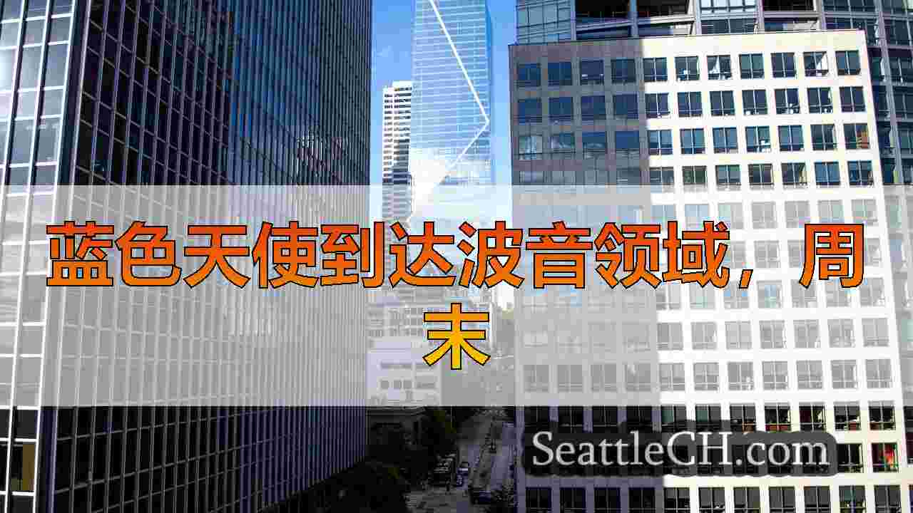 西雅图新闻 SeattleCH