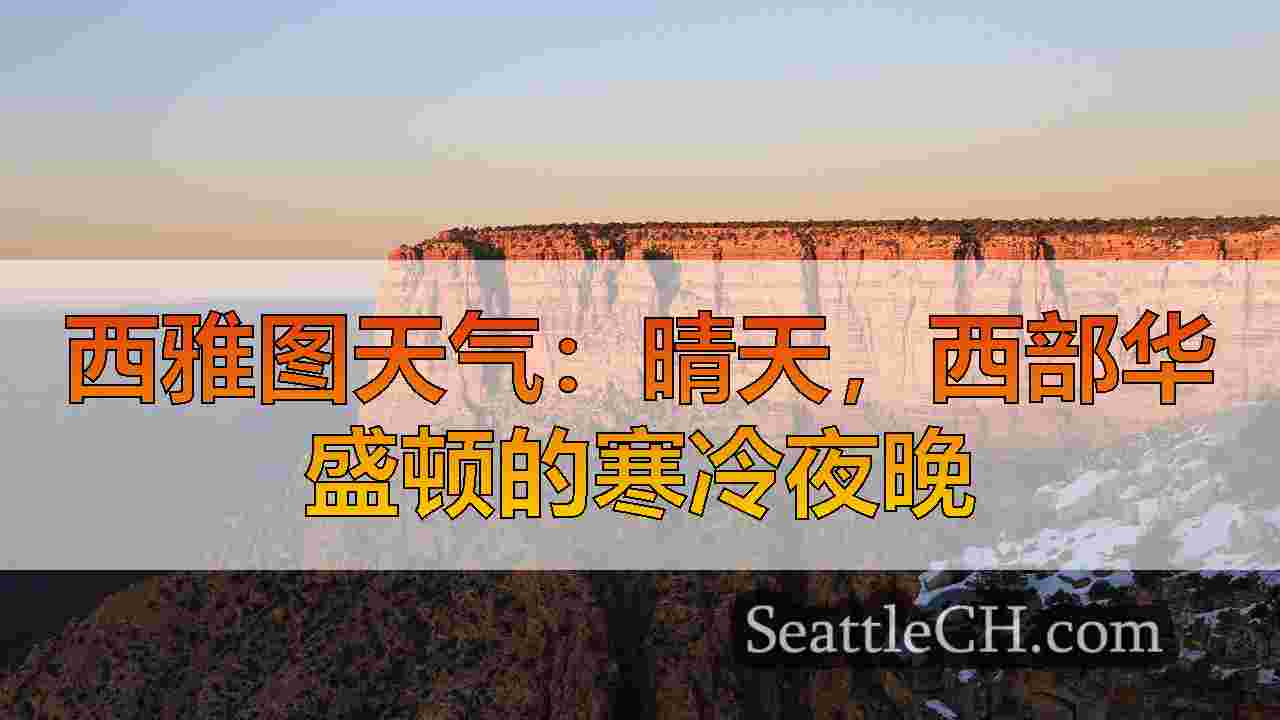 西雅图新闻 SeattleCH
