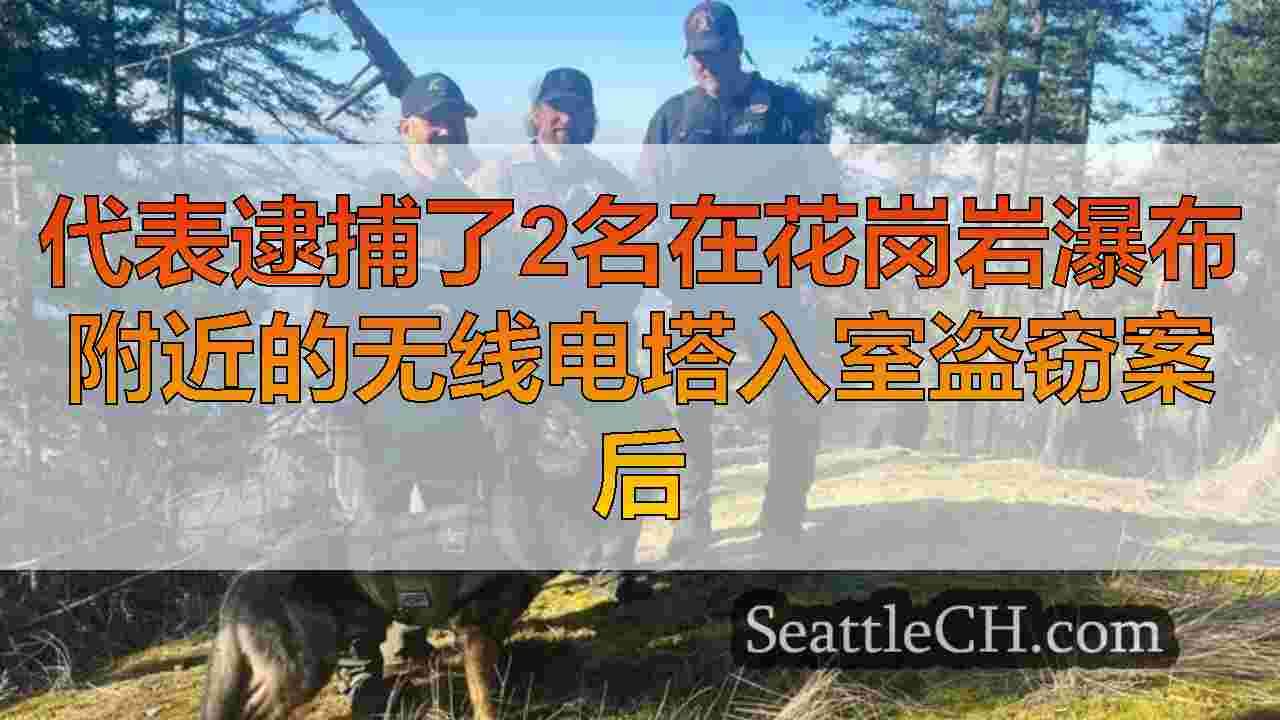 西雅图新闻 SeattleCH