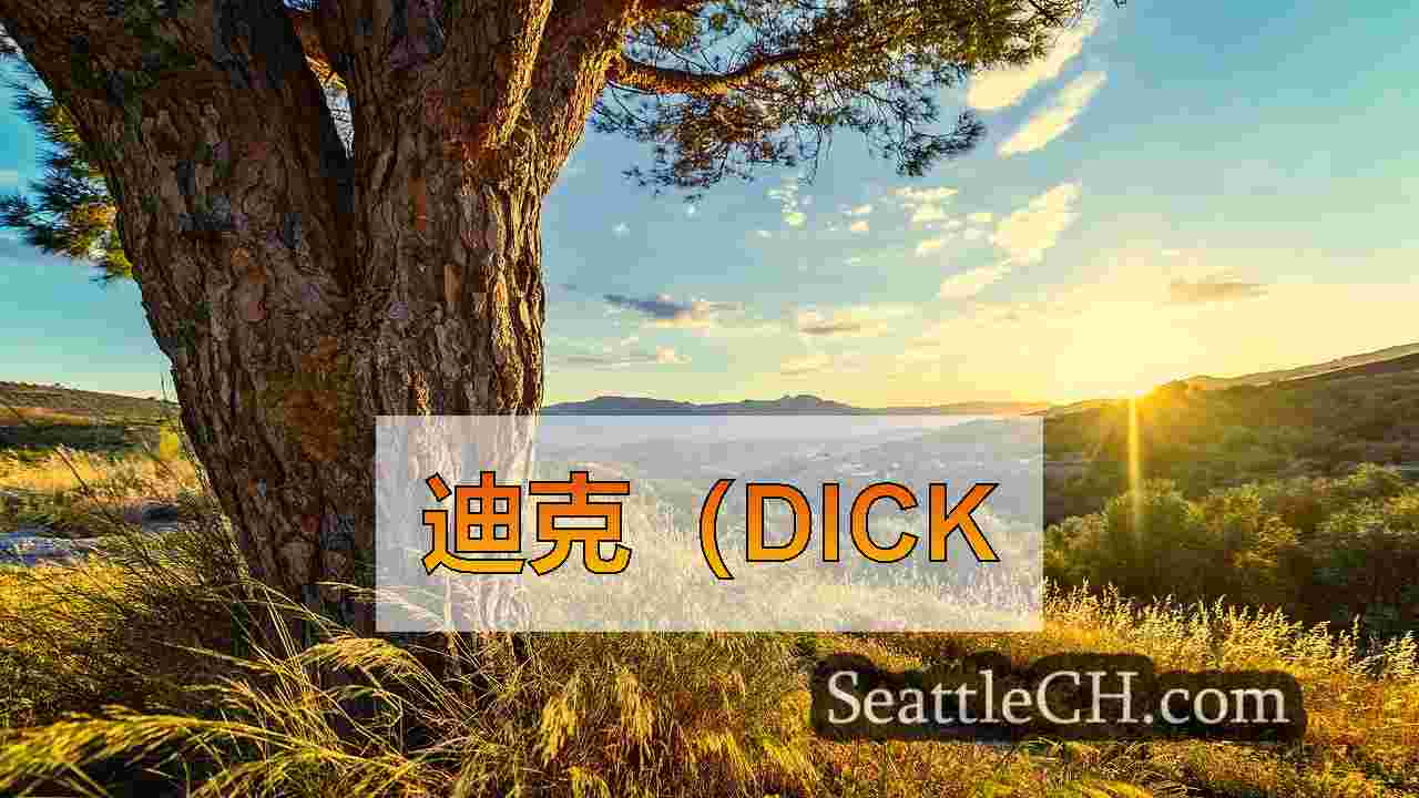 迪克（Dick