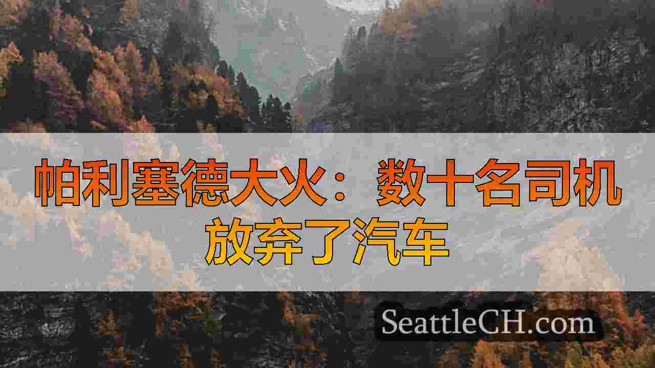 西雅图新闻 SeattleCH