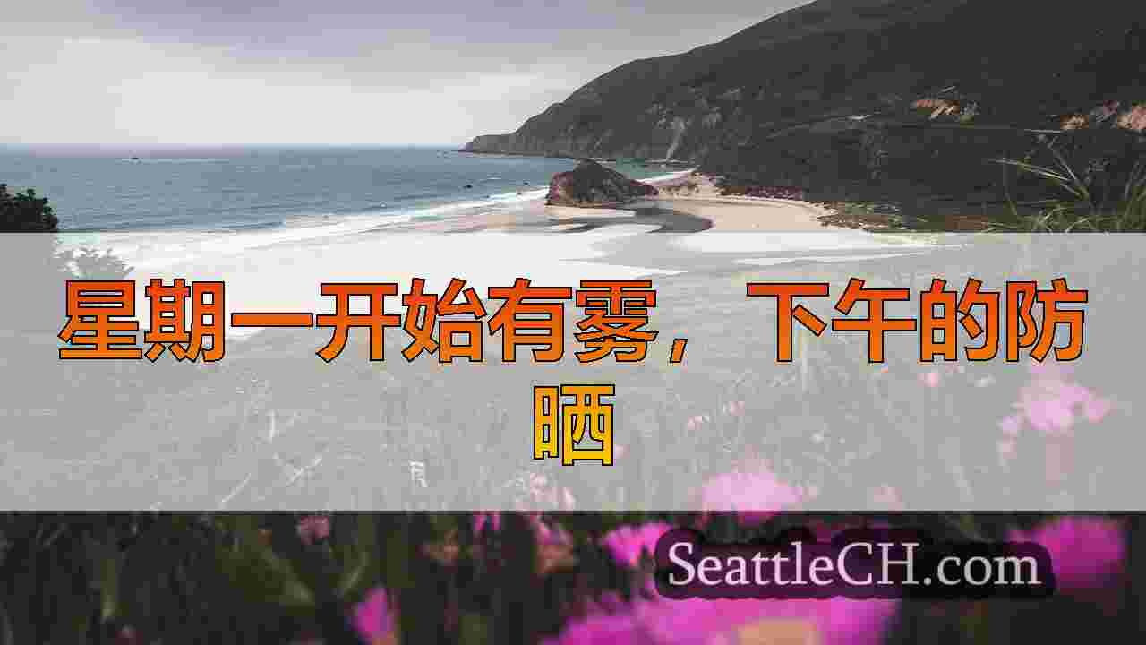 西雅图新闻 SeattleCH