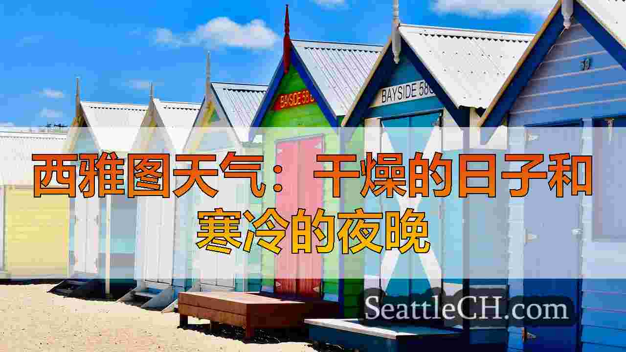 西雅图新闻 SeattleCH