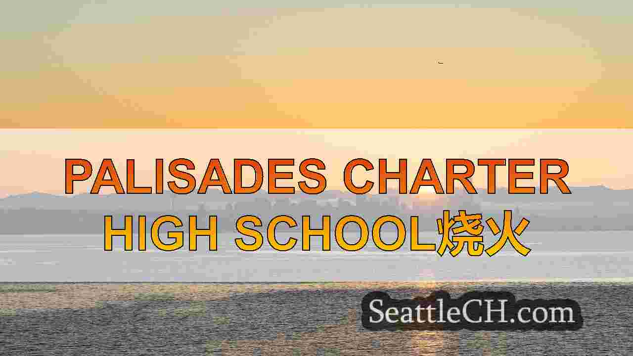 Palisades Fire：Newsom宣布紧急状态，成千上万的撤离