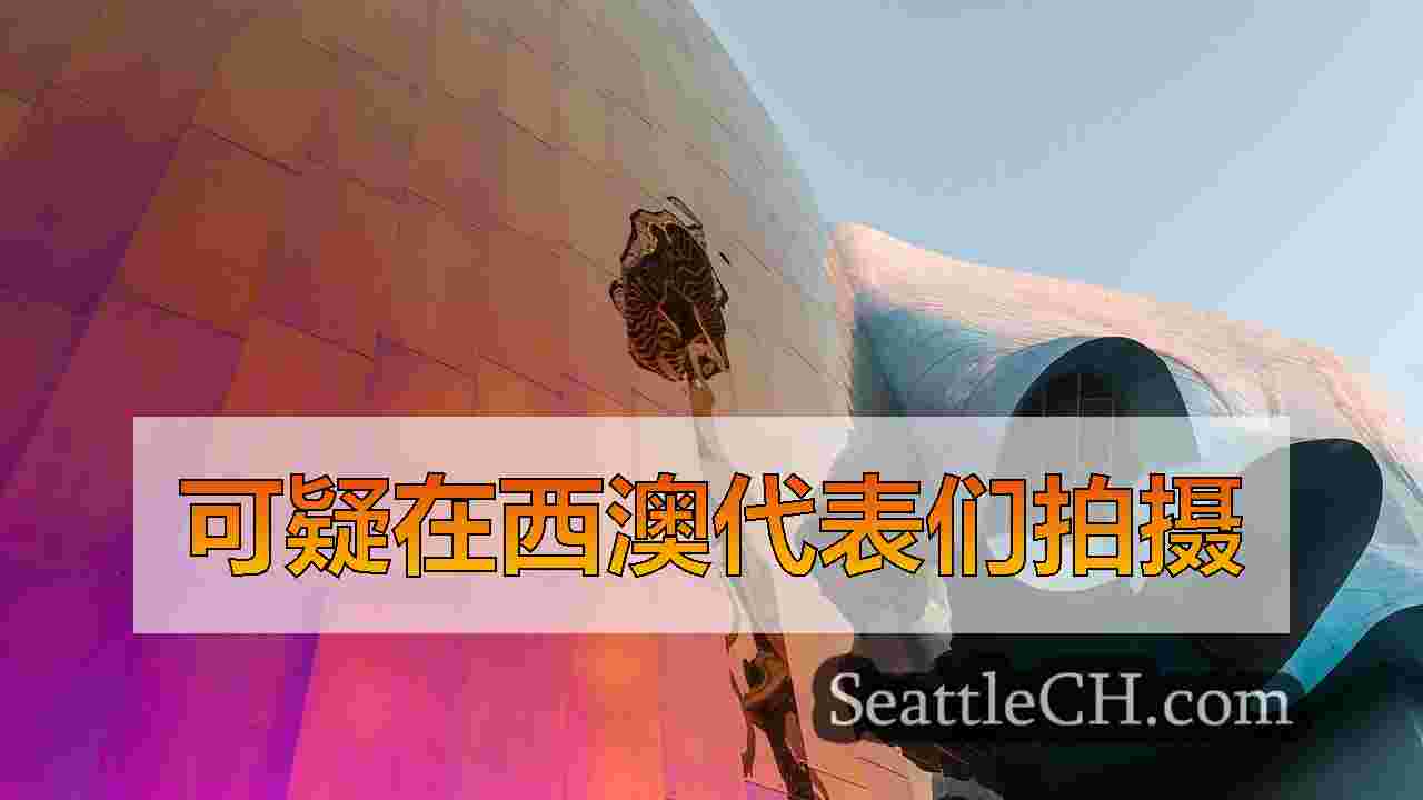 3在代表们开枪后被拘留，在金县追赶