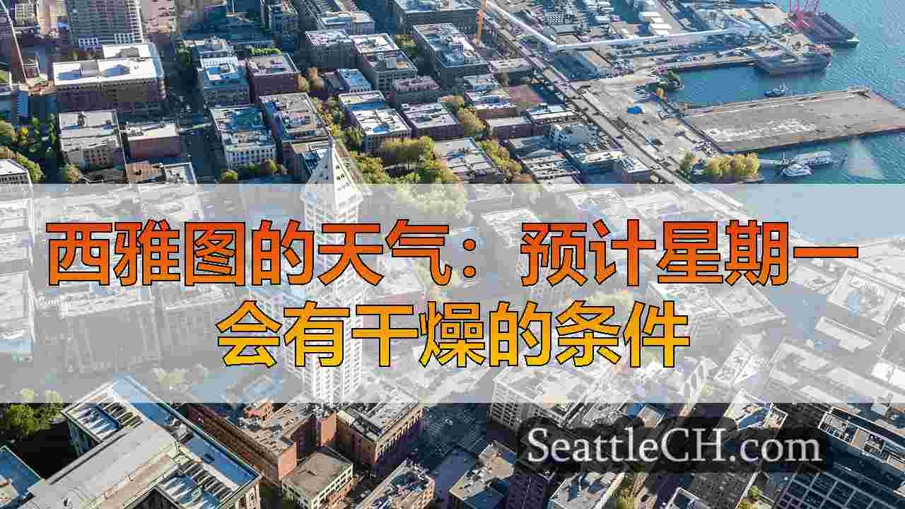 美丽的一月阳光，本周在西雅图大部分天气