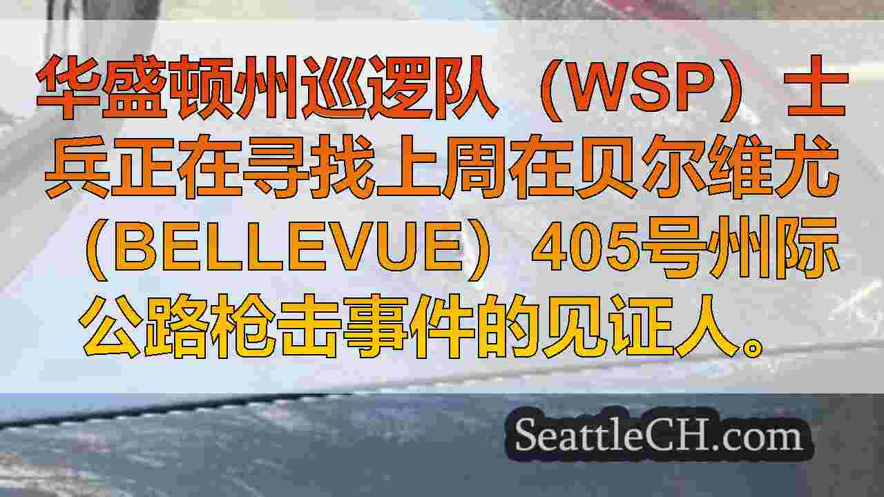 在贝尔维尤（I-405