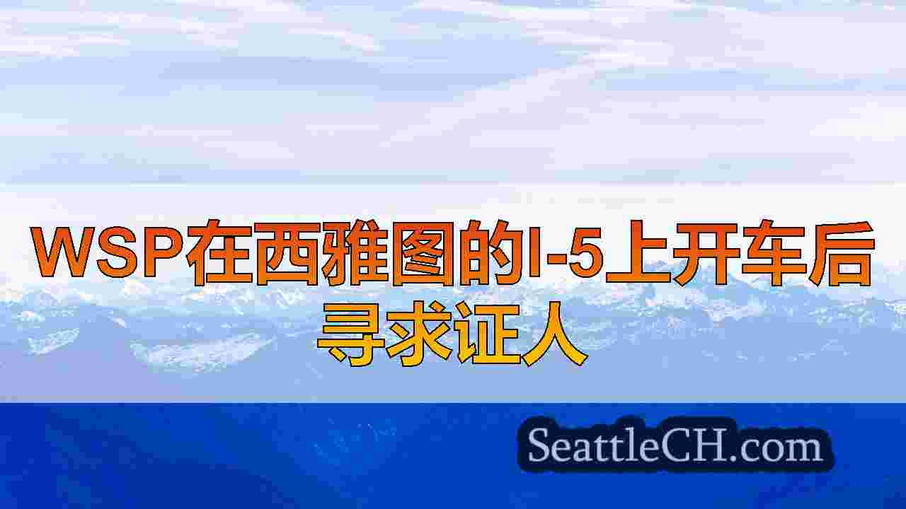 WSP在西雅图的I-5上开车后寻求证人