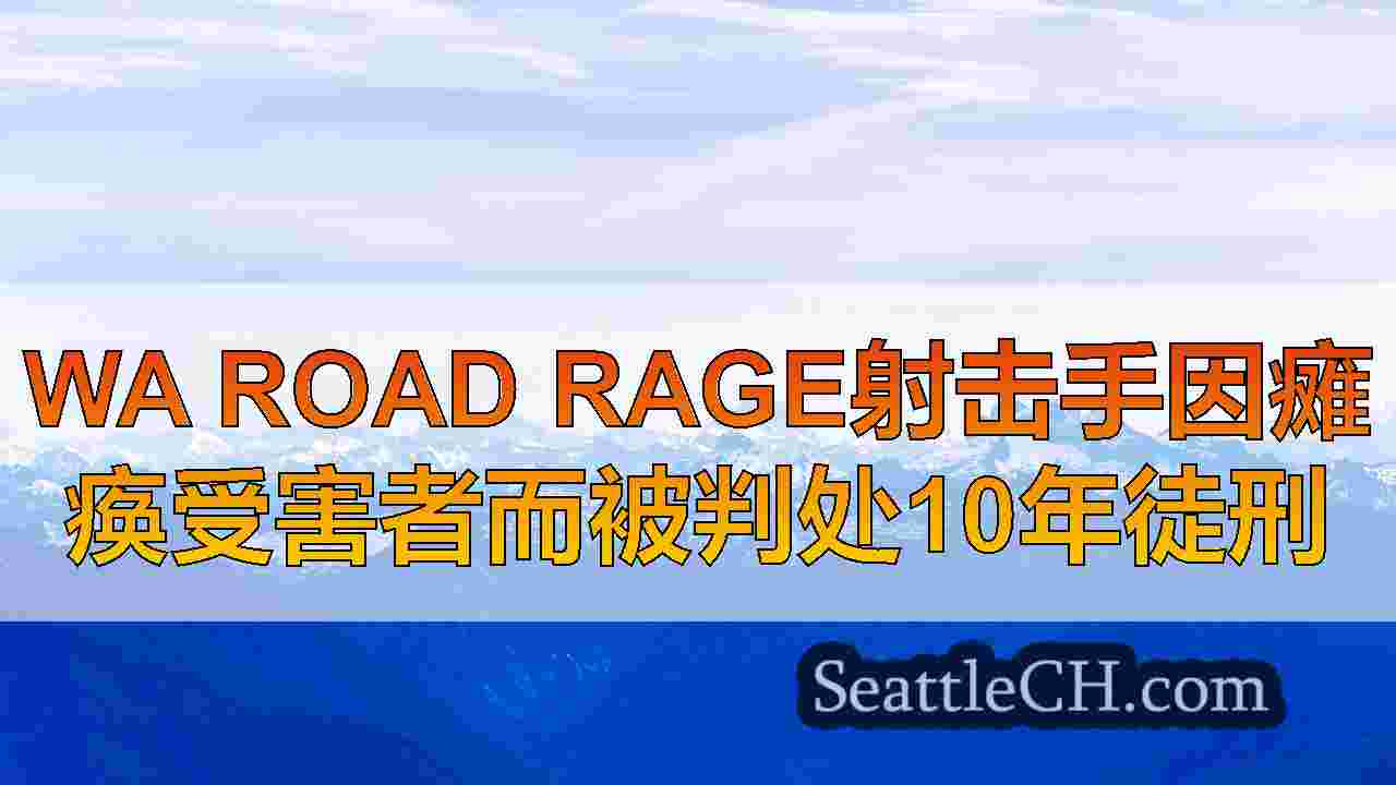 WA Road Rage射击手因瘫痪受害者而被判处10年徒刑