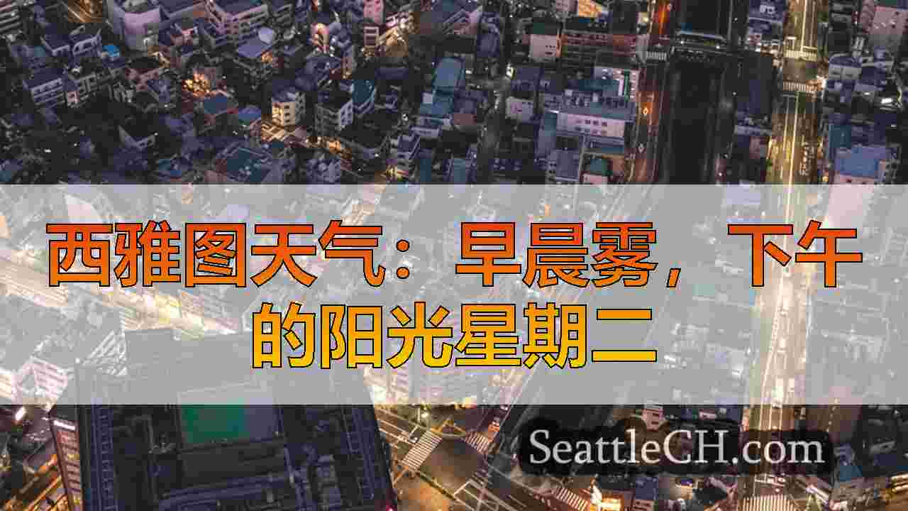 西雅图新闻 SeattleCH