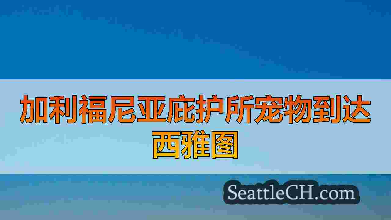 CA野火：洛杉矶庇护所的数十只动物在西雅图降落