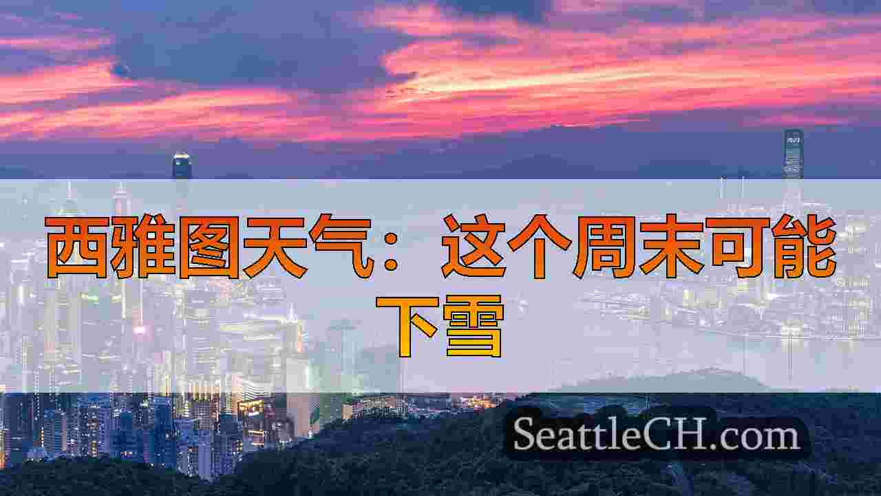 西雅图新闻 SeattleCH