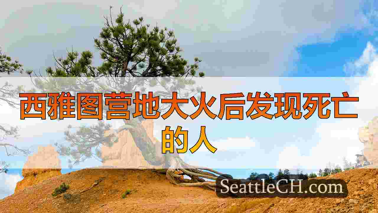 西雅图新闻 SeattleCH