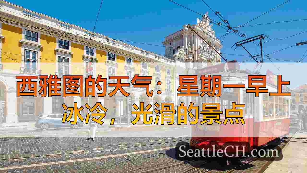 西雅图新闻 SeattleCH