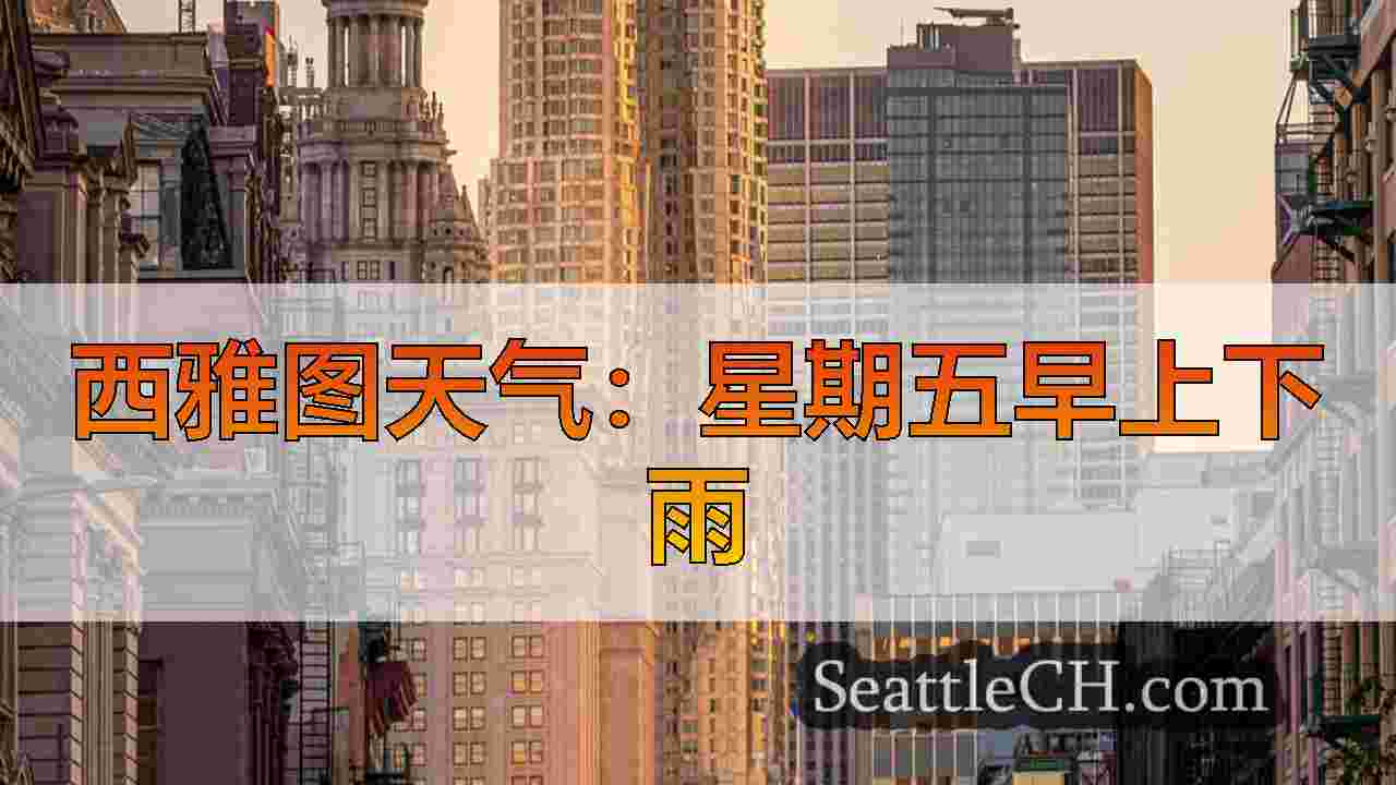 西雅图新闻 SeattleCH