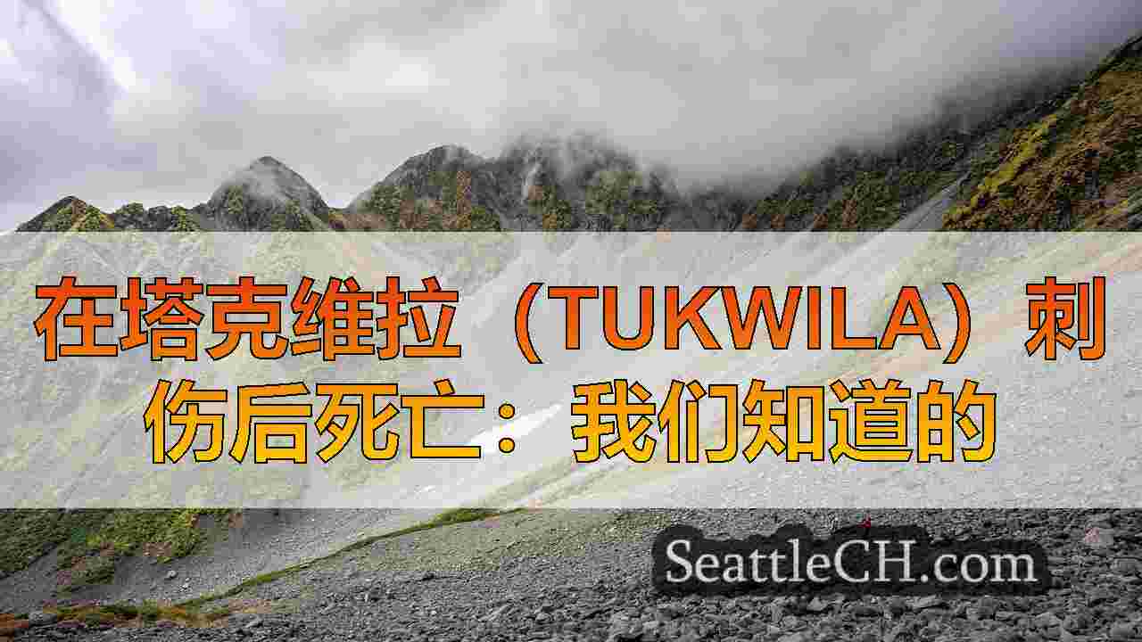 西雅图新闻 SeattleCH