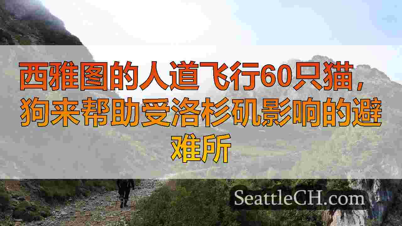 西雅图新闻 SeattleCH