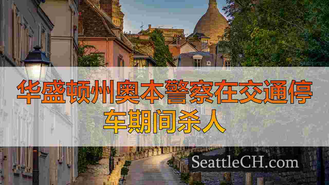 西雅图新闻 SeattleCH