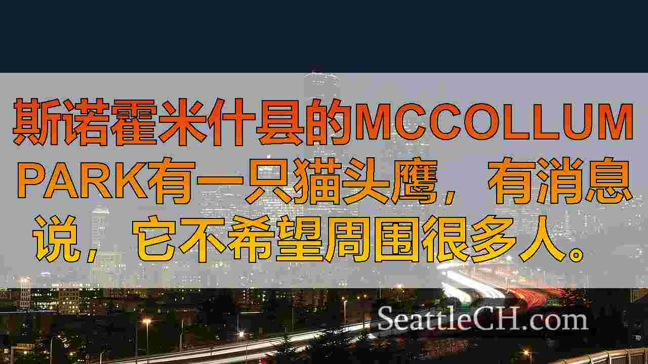 西雅图新闻 SeattleCH