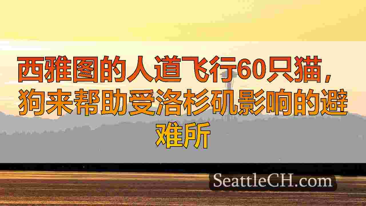 西雅图人道飞行60只猫，狗，帮助避难所受到洛杉矶野火的影响