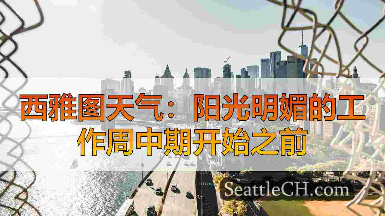 西雅图新闻 SeattleCH