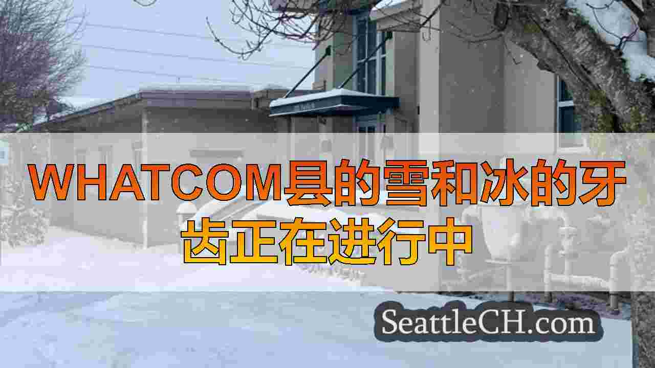 西雅图新闻 SeattleCH