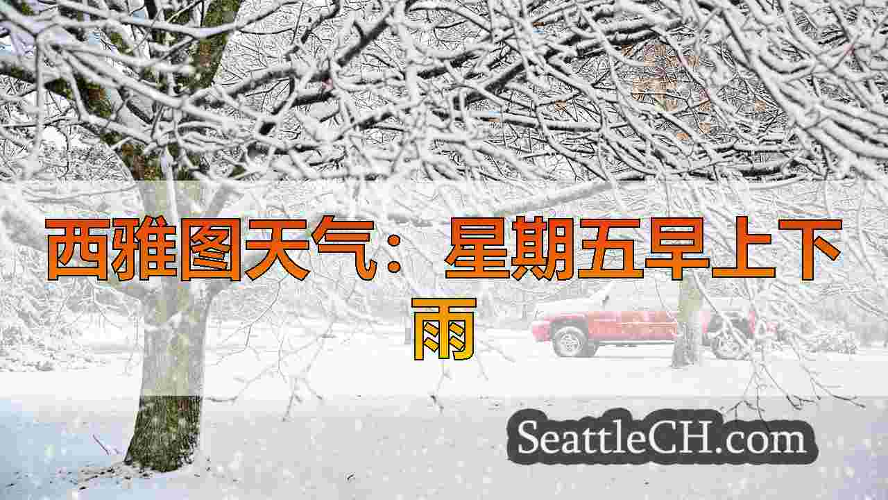 西雅图新闻 SeattleCH