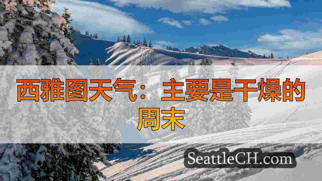 西雅图新闻 SeattleCH