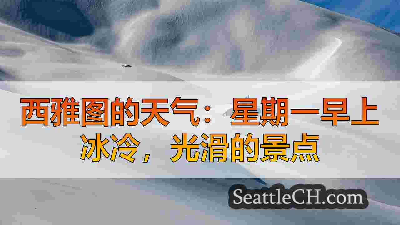 西雅图新闻 SeattleCH