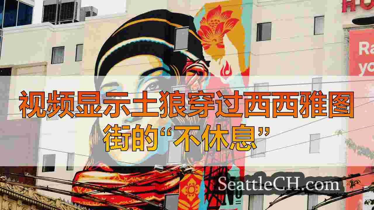 西雅图新闻 SeattleCH